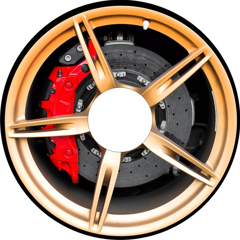 Speichenschutz Nr. 3540