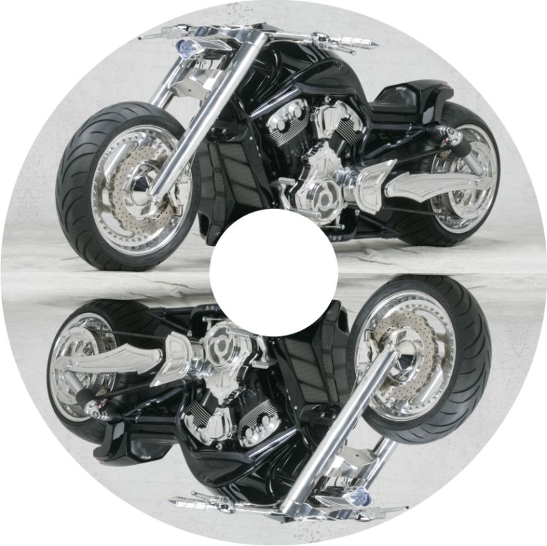 Speichenschutz Nr. 3555