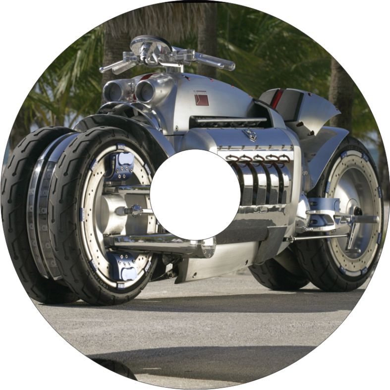 Speichenschutz Nr. 3556