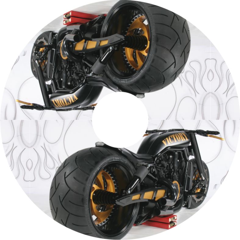 Speichenschutz Nr. 3559