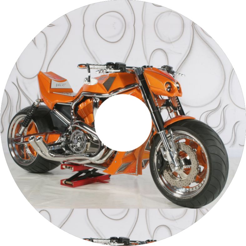 Speichenschutz Nr. 3560