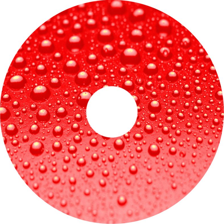 Speichenschutz Nr. 3587