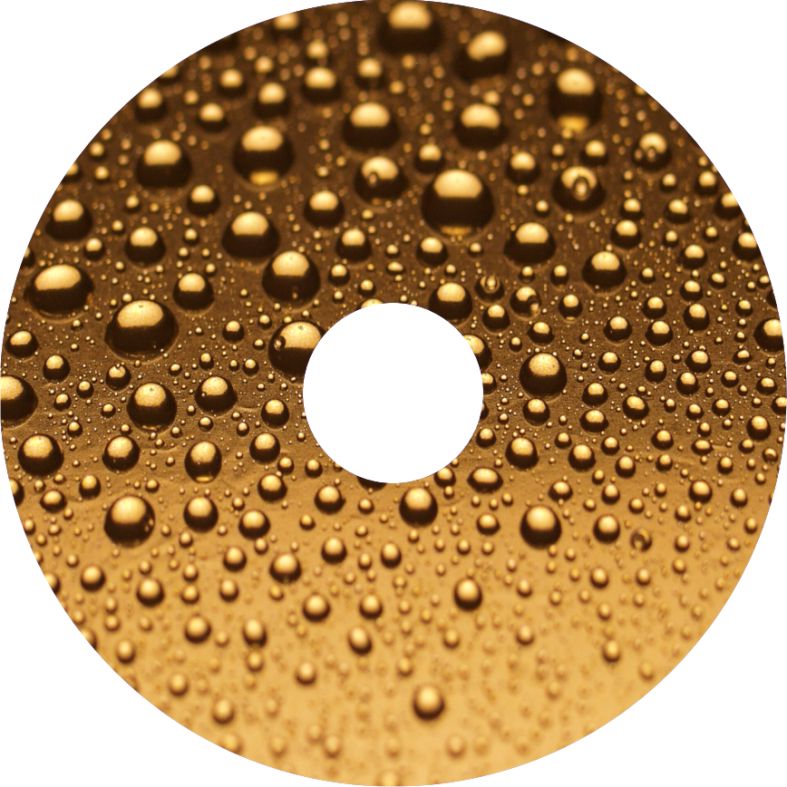 Speichenschutz Nr. 3589