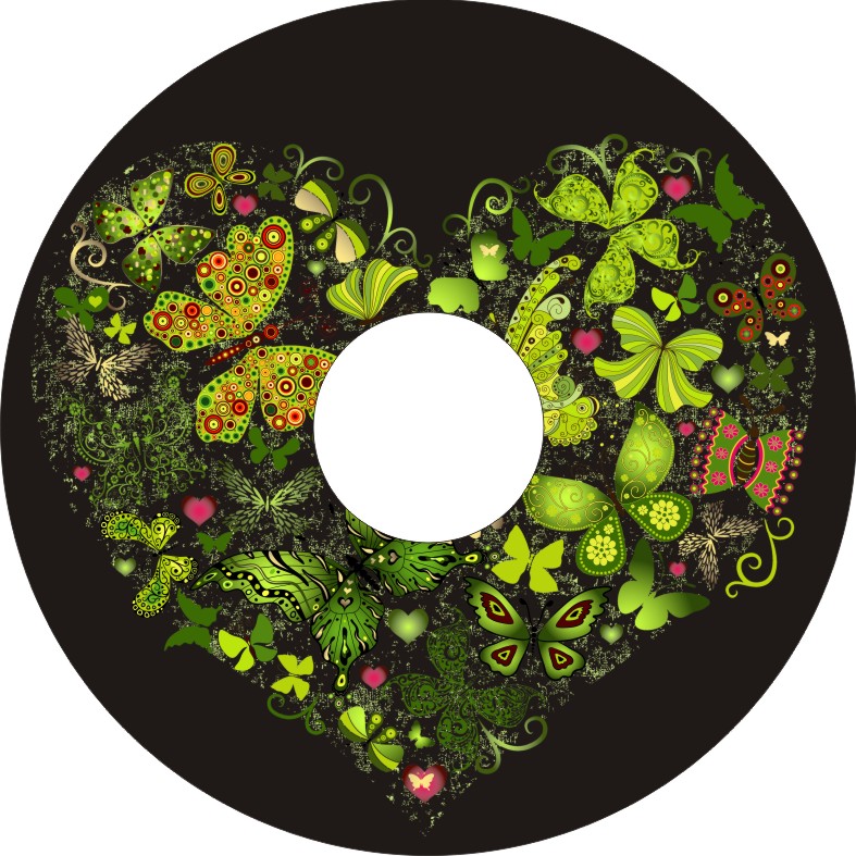 Speichenschutz Nr. 3713