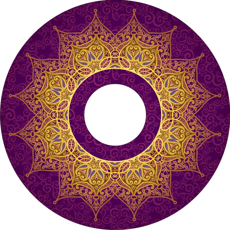 Speichenschutz Nr. 3716