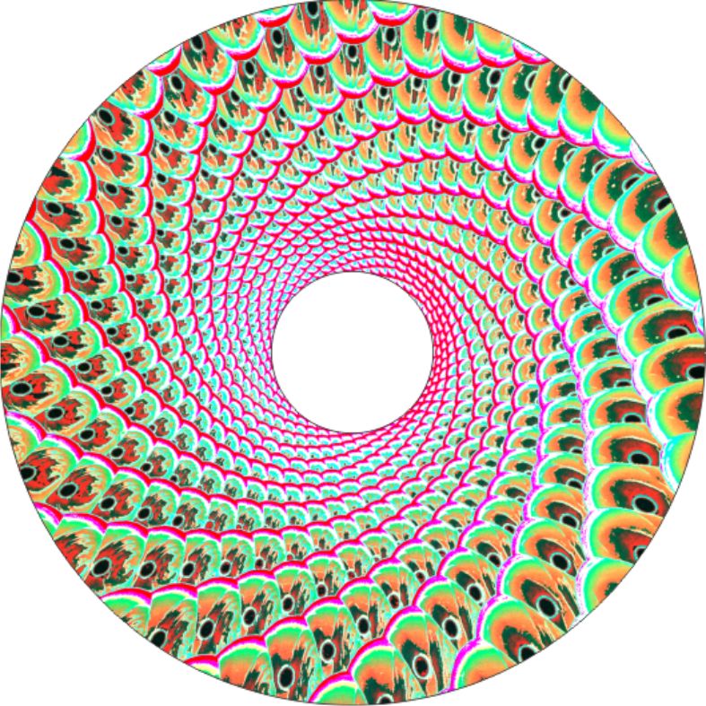 Speichenschutz Nr. 3718