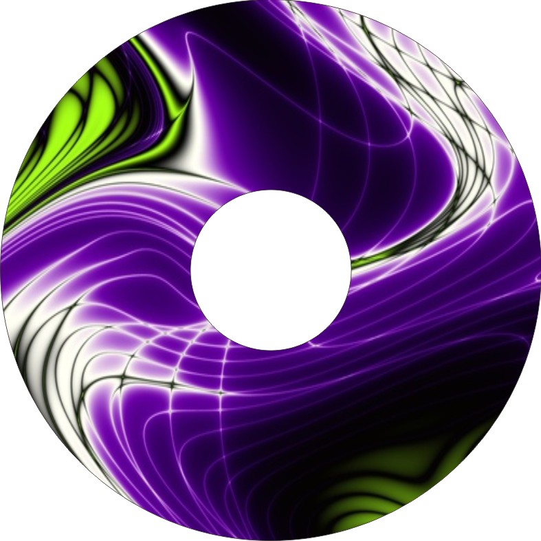 Speichenschutz Nr. 3733