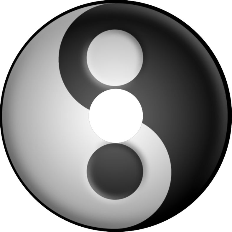 Speichenschutz Nr. 3735