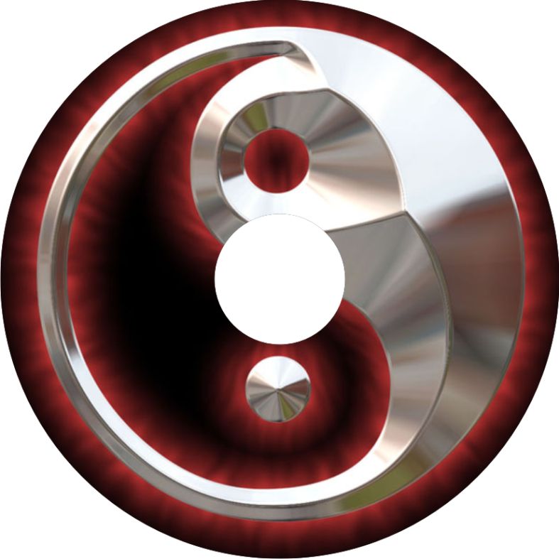 Speichenschutz Nr. 3736