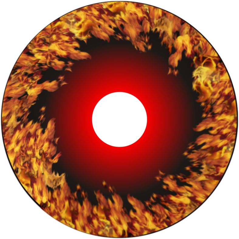 Speichenschutz Nr. 3747