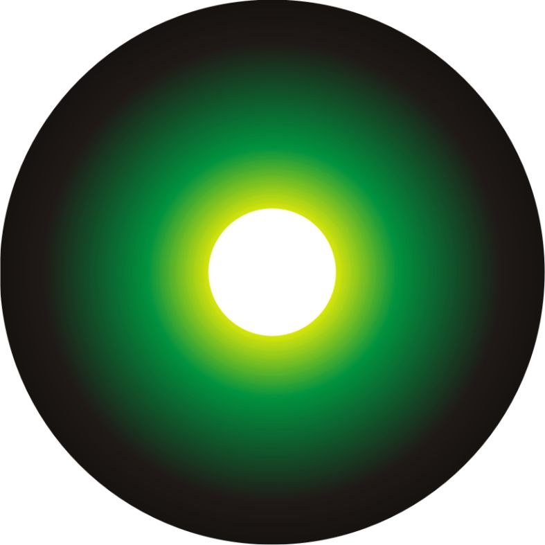 Speichenschutz Nr. 3748