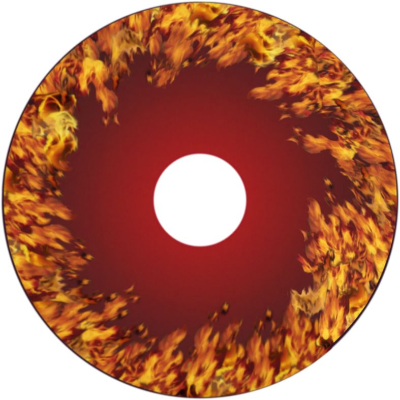 Speichenschutz Nr. 3749