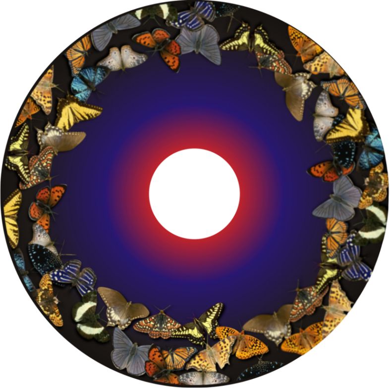 Speichenschutz Nr. 3750