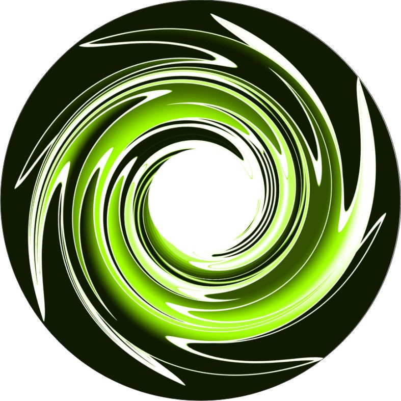 Speichenschutz Nr. 3753