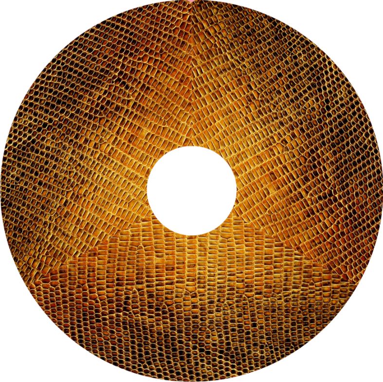 Speichenschutz Nr. 3761