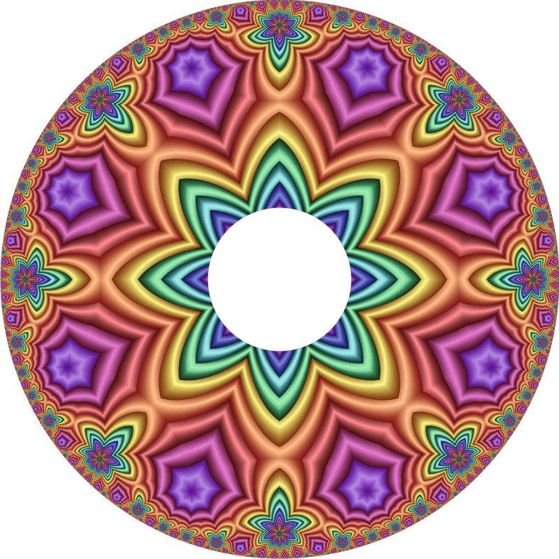 Speichenschutz Nr. 3769