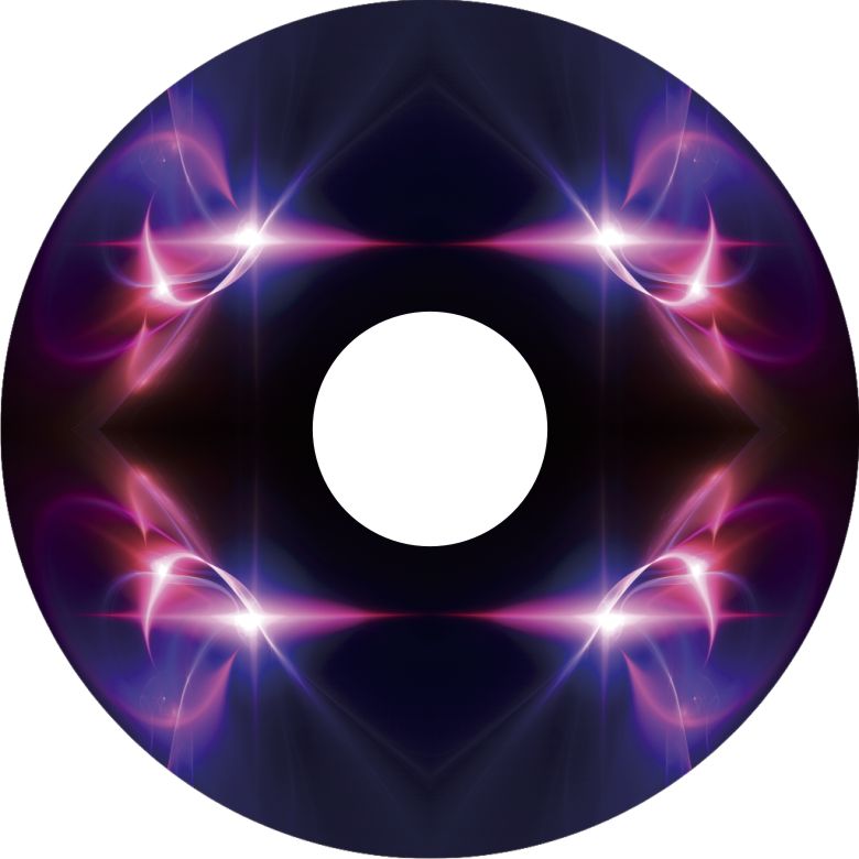 Speichenschutz Nr. 3785