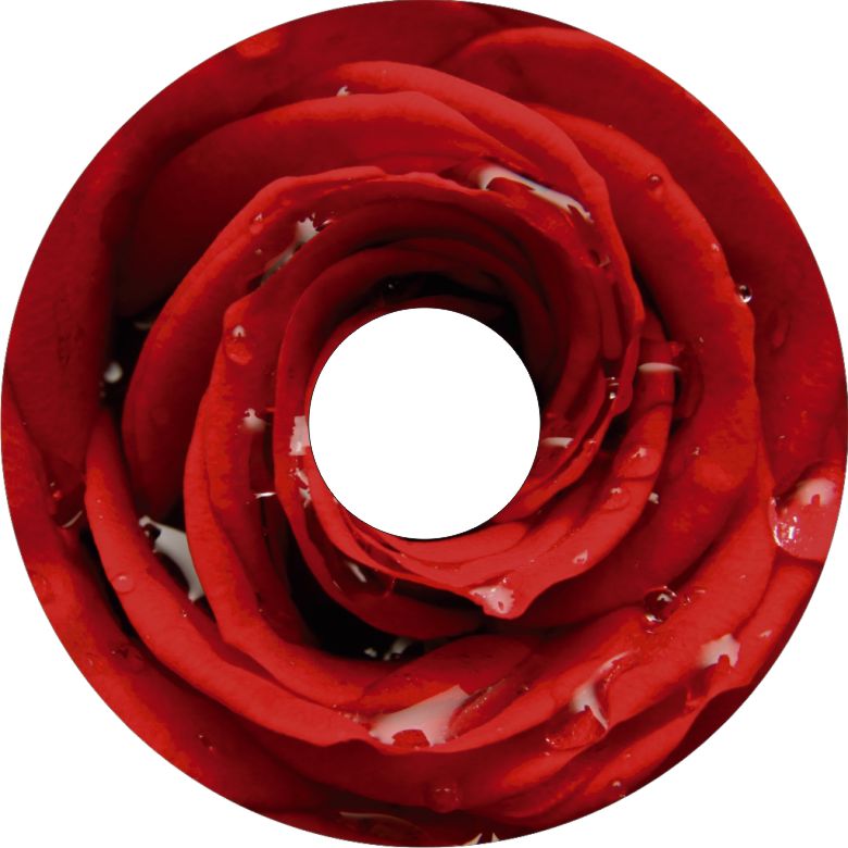 Speichenschutz Nr. 3788