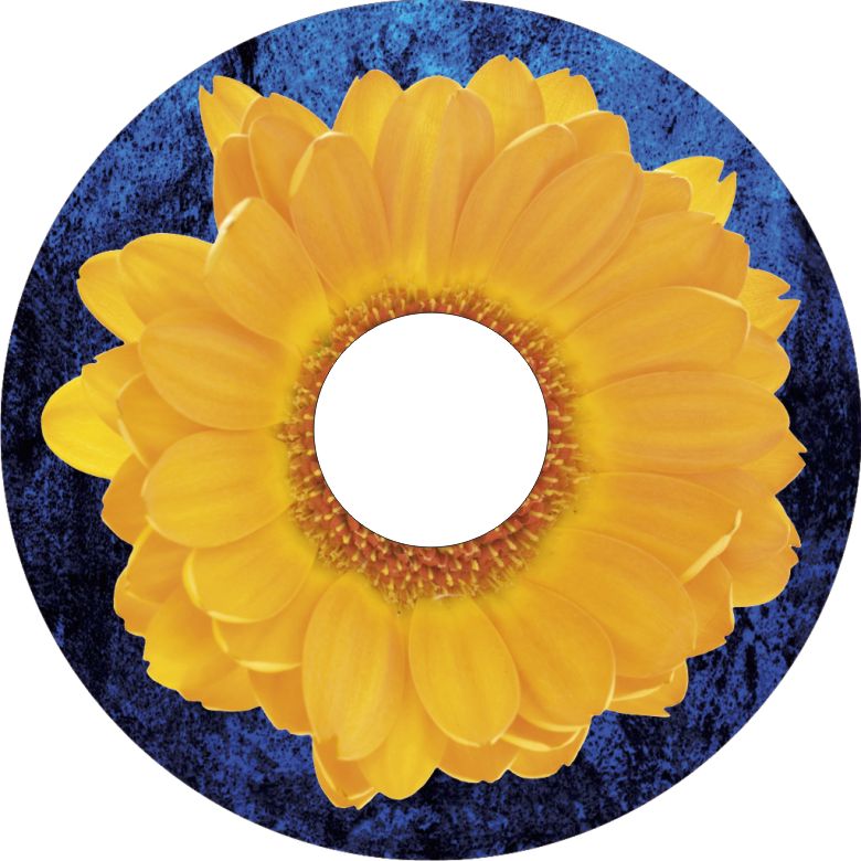 Speichenschutz Nr. 3791