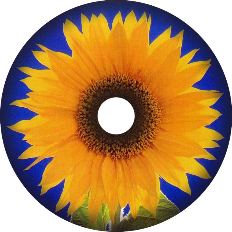 Speichenschutz Nr. 3792