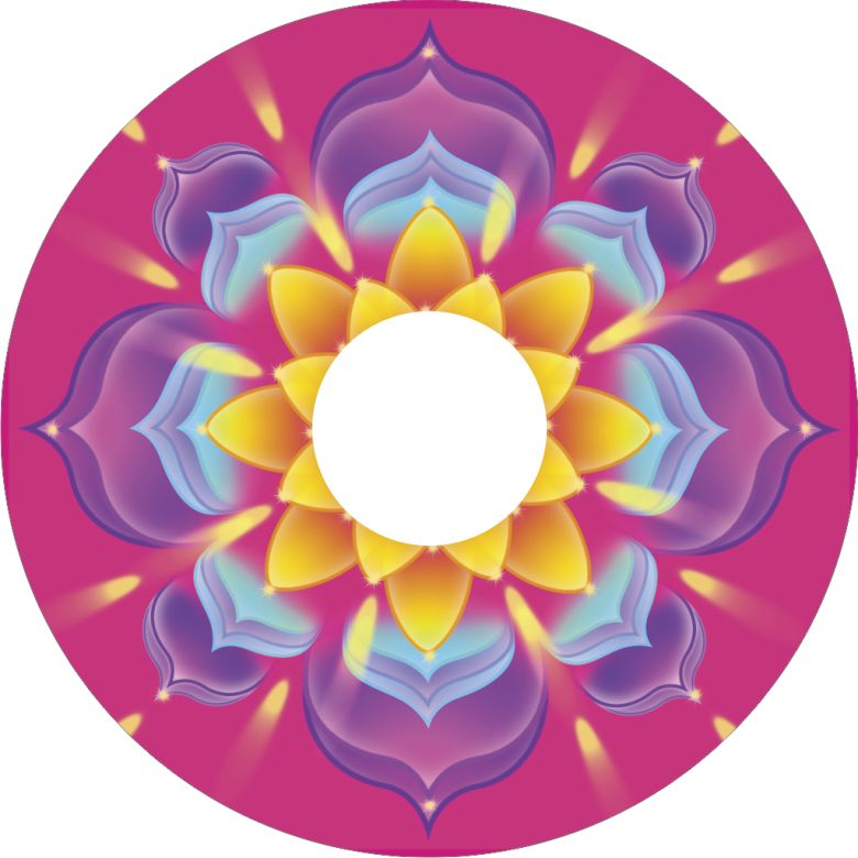 Speichenschutz Nr. 3797