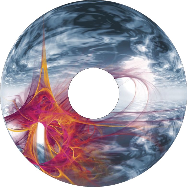 Speichenschutz Nr. 3803