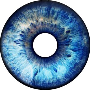 Speichenschutz Nr. 3273