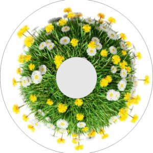 Speichenschutz mit Motiv Blumenwiese