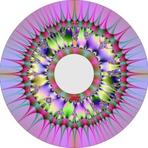 Speichenschutz Nr. 3594