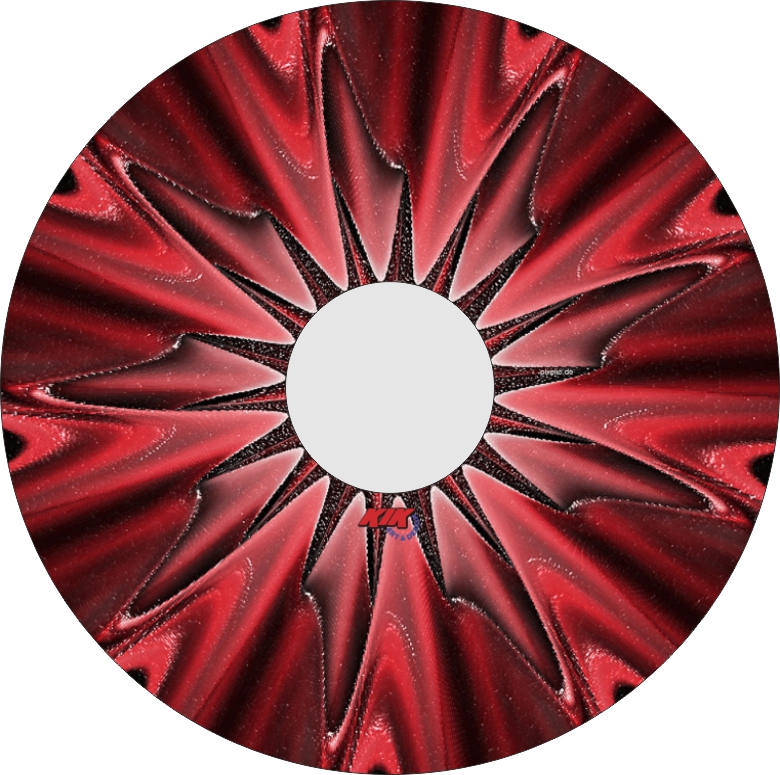 Speichenschutz Nr. 3600