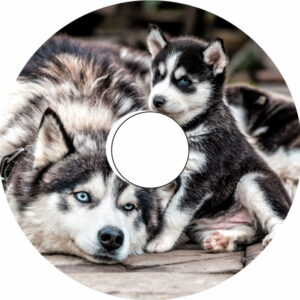 Speichenschutz Nr. 3076 - Huskies