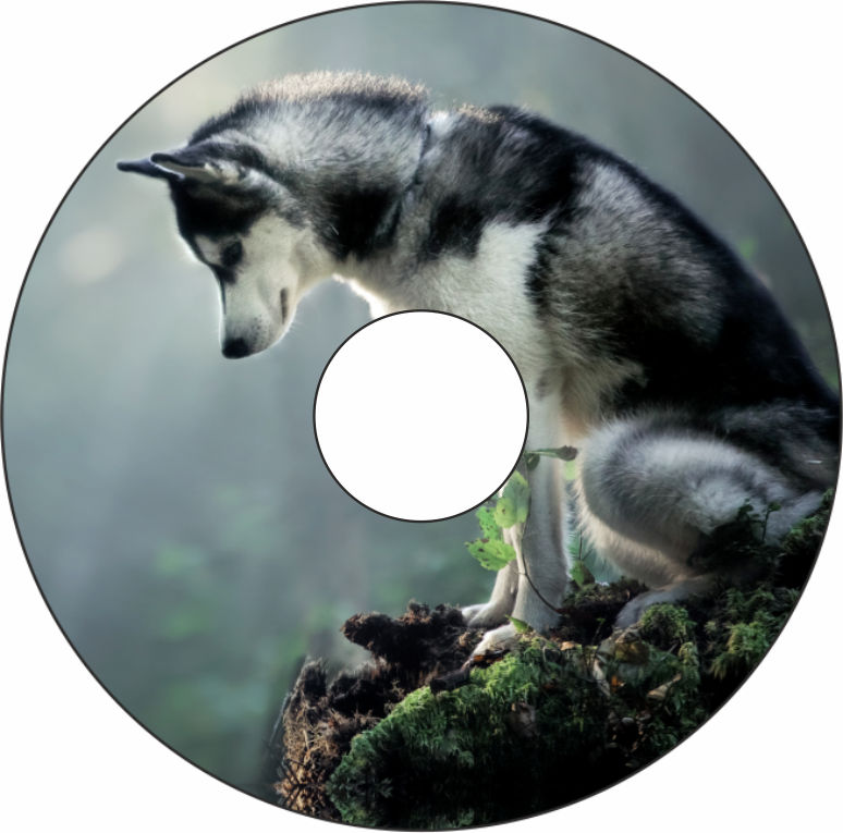 Speichenschutz Nr. 3078 - Huski