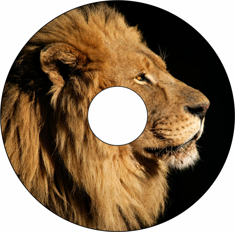 Speichenschutz Nr. 3081 - Löwe