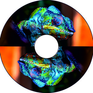 Speichenschutz Nr. 3088 - buntes Cahmäleon