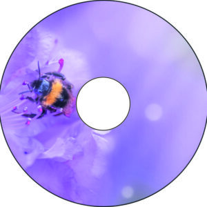 Speichenschutz Nr. 3089 - Hummel