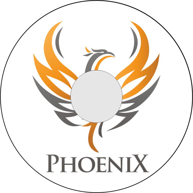 Speichenschutz Nr. 3345 - Phoenix