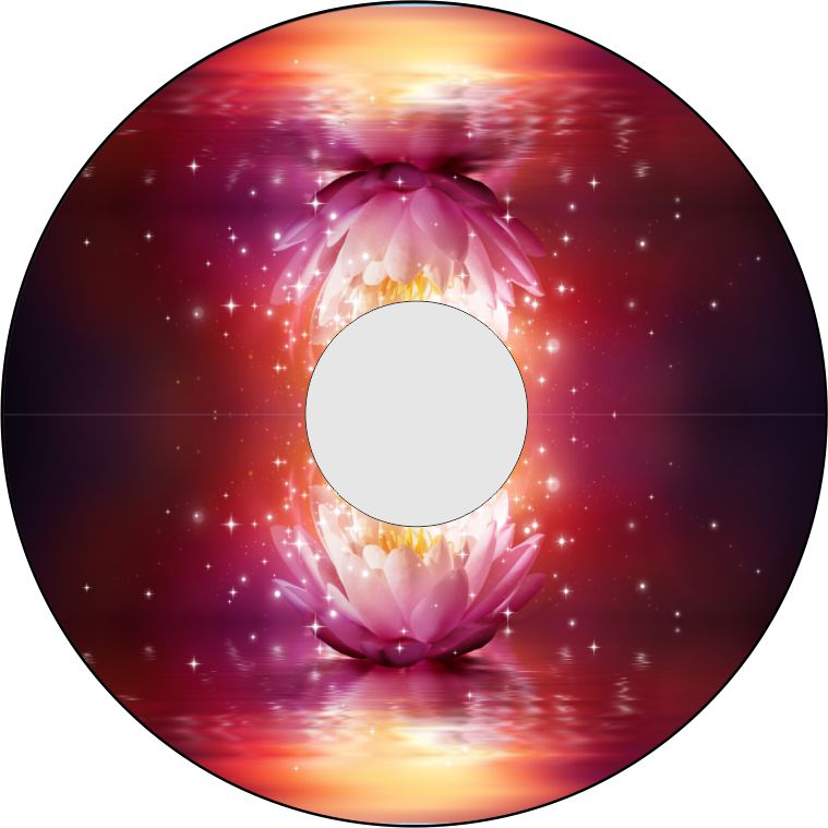 Speichenschutz Nr. 3347 - Seerose