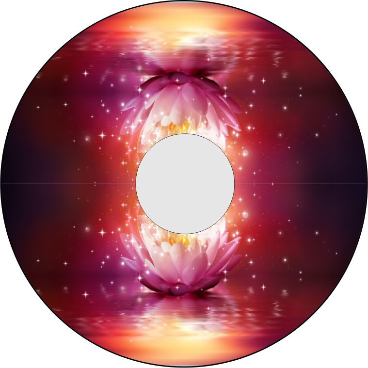 Speichenschutz Nr. 3352 - Seerose