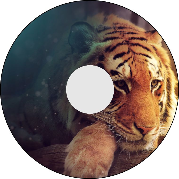 Speichenschutz Nr. 3359 - Tiger