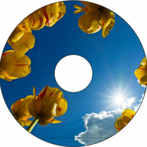 Speichenschutz Nr. 3360 - Tulpen