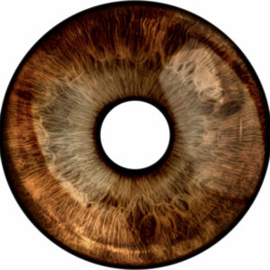 Speichenschutz Nr. 3372