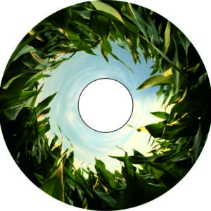 Speichenschutz Nr. 3380