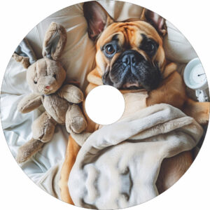 Speichenschutz mit Hund Boxer Motiv